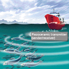 Piezo transducer Piezo transducer